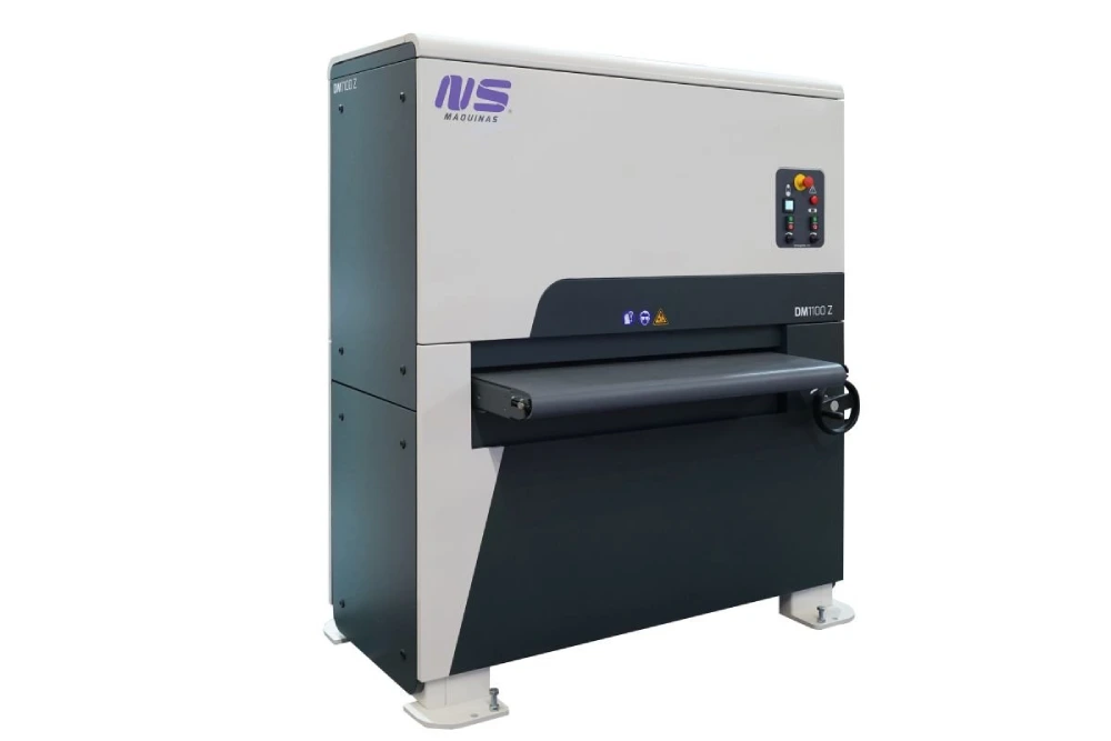 NS DM1100 Z